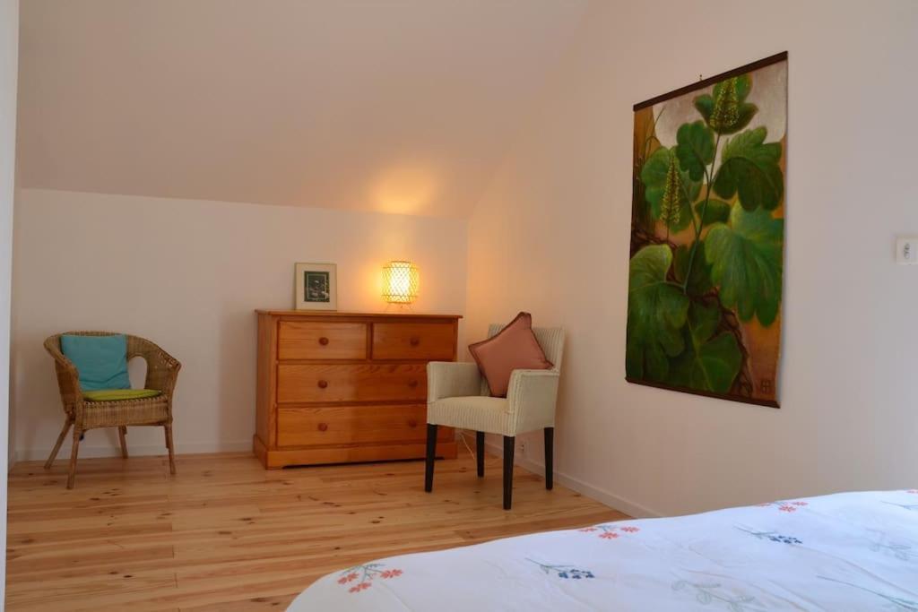 La Maison Des Cordelles Saint-Denis-en-Val ภายนอก รูปภาพ