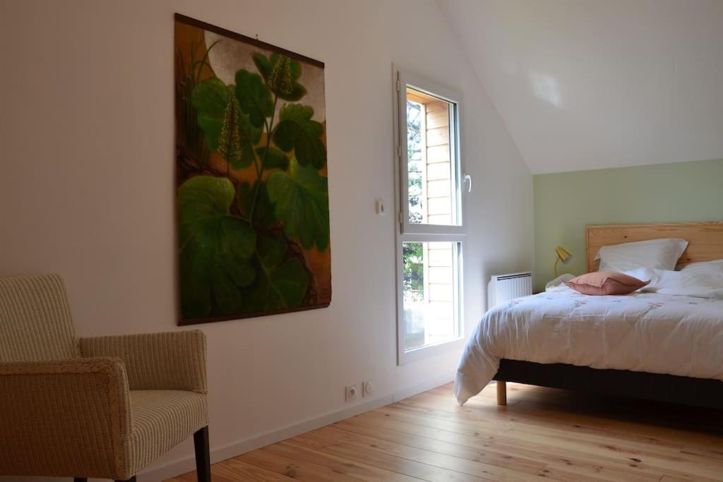 La Maison Des Cordelles Saint-Denis-en-Val ภายนอก รูปภาพ